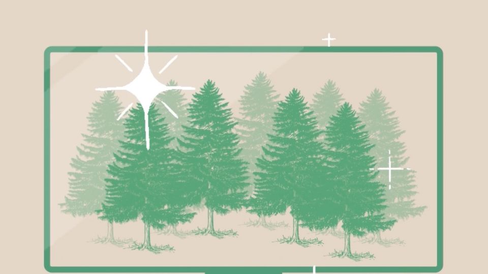 What is Evergreen Content?